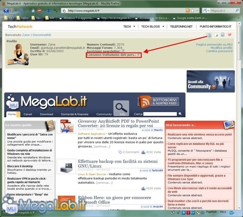 MLIShot10.jpg