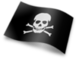 20100807103537_564340866_20100807103457_2041433883_pirateria.png